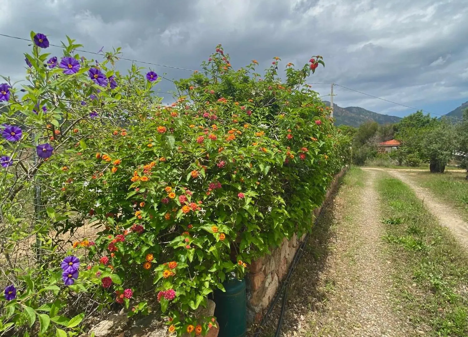 Villa Verde Tertenìa Italia