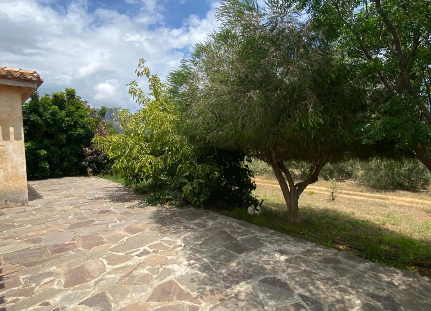 Villa Verde Tertenìa Italia